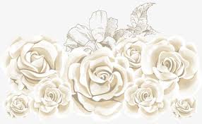 White Roses Vector Rose Rose Creative Flowers Png Transparent Clipart Image And Psd File For Free Download White Roses Rose Rose Buds
