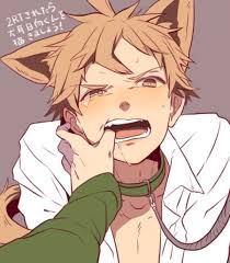 Jamie Andreassen on X: Twitter. AKA: Surprise Catboy Porn. Yaoi BLM  BoysLove Manga Anime animeboy t.cov434LFz9hJ  X