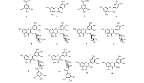 Image result for Aeschynomene nyassana