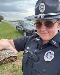 We are in peak turtle saving season. Trooper Wells helped five of these  critters across the highway in one day last week in the Panhandle. Have a  safe evening, Nebraska!