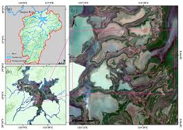 Virtual Scene Construction of Wetlands: A Case Study of Poyang Lake, China