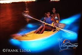 Bioluminescent Bay Puerto Rico Boat Tours Experience The Magic Of Mosquito Bay The Brightest Bioluminescent Bay In The World Bioluminescent Bay Vieques Bioluminescent Bay Puerto Rico