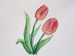 How To Draw A Flower With Simple Colored Pencils Tulip Youtube Easy Flower Drawings Easy Drawings Flower Drawing Images