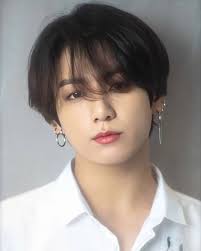 See more ideas about jungkook, bts jungkook, jungkook hot. Pitbullrocky Com Nbsppitbullrocky Resources And Information Bts Jungkook Jungkook Jeon Jungkook