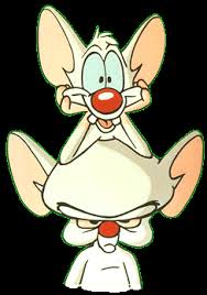 This Is What I Did Darr And Darr Pinky And The Brain Classic Cartoon Characters Cartoon Favorite Cartoon Character