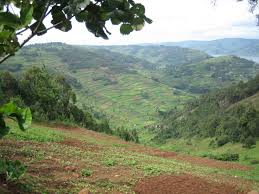 Maybe you would like to learn more about one of these? Skin Health For Africa