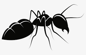 Just to search and unlimited download for free. Ant Png Images Free Transparent Ant Download Kindpng