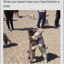 02 ytp/dytp the pooh of the meme. Long Lost Friends Steemit