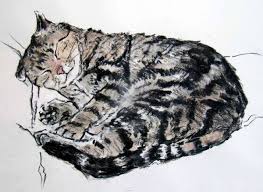 Sue Sareen Cats Illustration Watercolor Cat Cat Painting