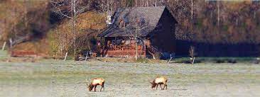 We did not find results for: Walnut Grove Cabins Home Facebook