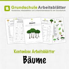 Herbarium specimens are filed according to the most recent determinations, and these are by no means definitive. Baume Kostenlose Arbeitsblatter