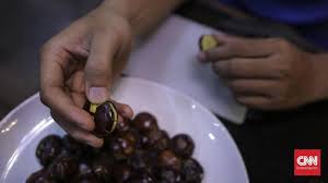 Arti mimpi makan buah kurma artinya: Mengulik Manfaat Dan Dampak Jengkol Buat Kesehatan