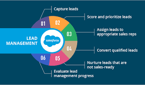 Salesforce Lead Management Tips And Best Practices