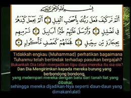 • bacaan surat az zalzalah (juz amma) 8 ayat lengkap dengan. Wajib Hafal 10 Surat Surat Pendek Yang Mudah Di Pelajari Dan Ingat Youtube