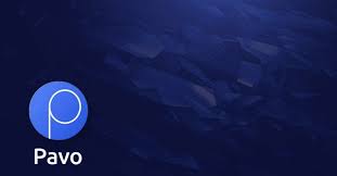 Hasil gambar untuk pavo ico