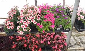 Any new items added to your cart as pickup in store will be sent to the new store. Pet Feed Store N More Inc Home Facebook