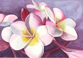 Frangipani Painting Flower Art Watercolor Painting By Splodgepodge 15 00 Watercolor Paintings Nature Flower Art Watercolor Flowers