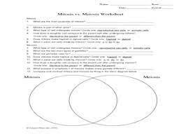 Difference 4 between mitosis and meiosis. Meiosis Lesson Plans Worksheets Lesson Planet