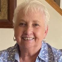 Shirley Faye Mitchell Obituary (2023)