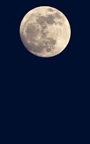 Luna noua este un simbol al inceputurilor. Horoscop Lunar Iulie 2018 Divahair Ro