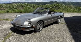 Image result for Grigio Chiaro 1984 Alfa-Romeo