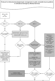 Pain Management In Trauma Patients In Pre Hospital Based Emergency Care Current Practice Versus New Guideline Injury