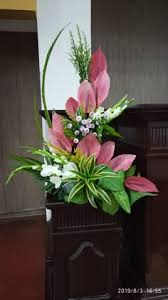 12 ideas de Media luna