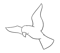 Having drawn that, draw the hands as seen in the picture. How To Draw A Bird Easy Step By Step Drawing Guides