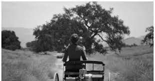 Who was the first woman car driver of ...