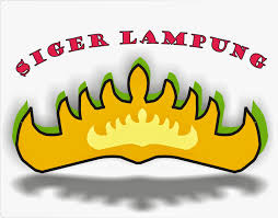 We did not find results for: Logo Siger Lampung Vector