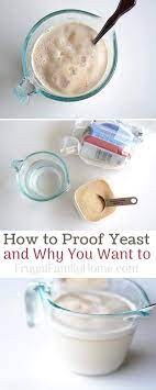 Why does sourdough take so long to rise and prove? How To Proof Yeast And Why You Want To Frugal Family Home