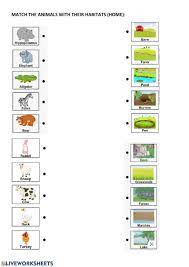 animal habitats and home worksheet