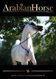 Arabian Horse Magazine N 2 2018 By Arabian Horse Magazine Issuu