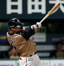 中田７度目20号なら日本ハム３位タイ パ見どころ プロ野球 日刊スポーツ プロ野球 日本ハム プロスポーツ