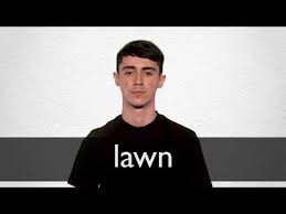 Main meanings of lawn in english. Lawn Definition Und Bedeutung Collins Worterbuch