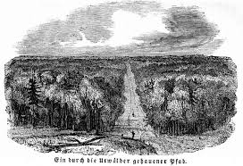 Maybe you would like to learn more about one of these? The Project Gutenberg Ebook Of Ansiedlungen In Den Urwaldern Von Canada By Dr F A Wiese