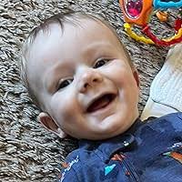 Clifford, El Perro Bombero by Norman Bridwell