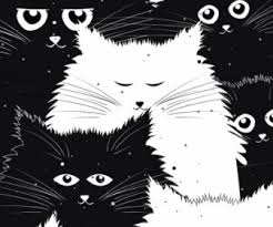 5000 gambar kucing lucu imut dan paling menggemaskan sedunia. Gambar Kartun Kucing Lucu Hitam Putih