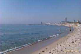 Maybe you would like to learn more about one of these? The Beach Picture Of Hesperia Barcelona Del Mar Tripadvisor