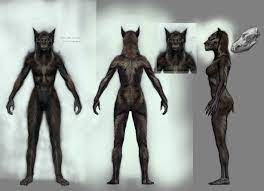 Werewolf Female Front Back | Female werewolves, Skyrim werewolf, Werewolf