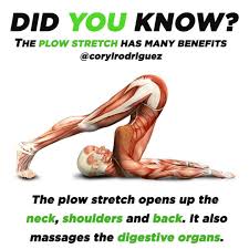 Follow Us Signature Bride On Instagram And Twitter And On Facebook Signature Bride Magazine Check Out Our Website Yoga Benefits Yoga Anatomy Yoga Moves