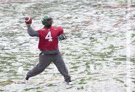 At least with 'energy' or 'evergolds' or any of the other proposed names, the helmets would have also looked terrible. Melon Shortage Averted Ahead Of Grey Cup Ctv News