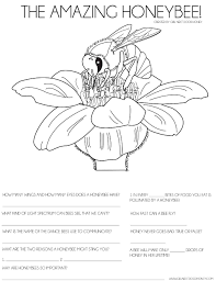 Use This Honeybee Activity Sheet To Teach Your Kids About Bees Education Activitysheet Kids Bees Bee Activities Bees For Kids Activity Sheets