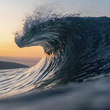 Todd Willer (@electricwooly) · Instagram 照片和视频