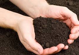 If you are outside of the free delivery area. The Mulch Depot