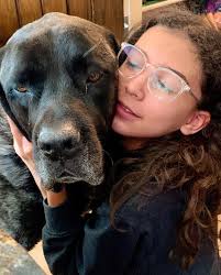 Feeling the loss this morning. A few photos detailing the life of our  handsome Dude. Mastiffs are special dogs, and Dude was no exception to this  rule. Big heart, protective, gentle. We