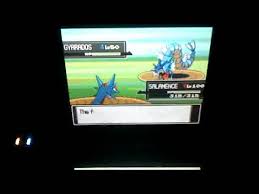 Staravia Pokédex: Stats, Moves, Evolution & Locations | Pokémon Database