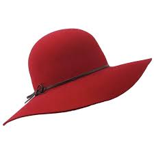 Hats Co Giovanna Wide Brimmed Hat Red
