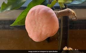 Maybe you would like to learn more about one of these? Ramphal Benefits 5 Reasons To Eat This Hyper Local Fruit Every Day