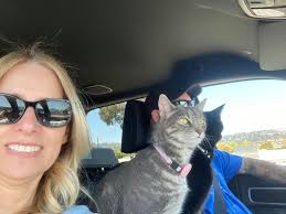 Anyone use Everyday Reward? If yes, is your App working?